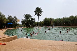 משתכשכים בעיינות צוקים, ארכיון רשות הטבע והגנים משתכשכים בעיינות צוקים, ארכיון רשות הטבע והגנים