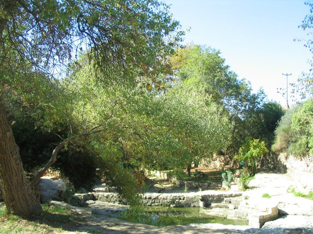 גן לאומי עין חמד - צילם חנן שפיר