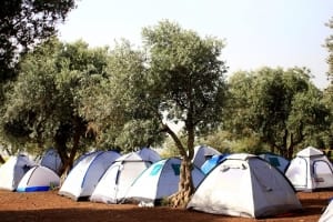 חניון לילה כוכב הירדן, צילום: אבי בהרי