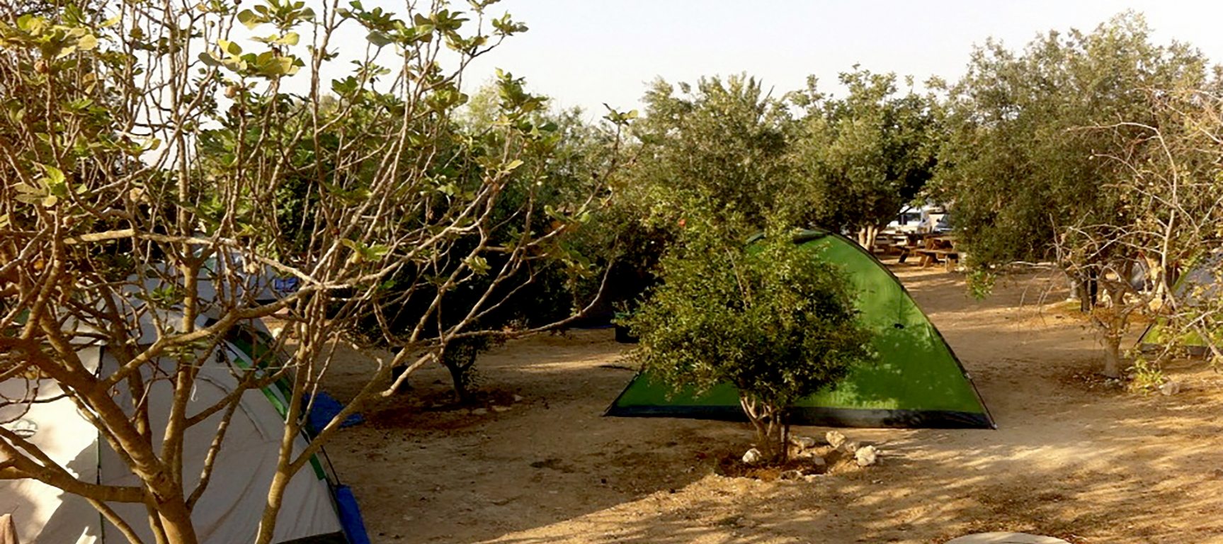 חניון לילה גן לאומי תל ערד – החאן הכנעני