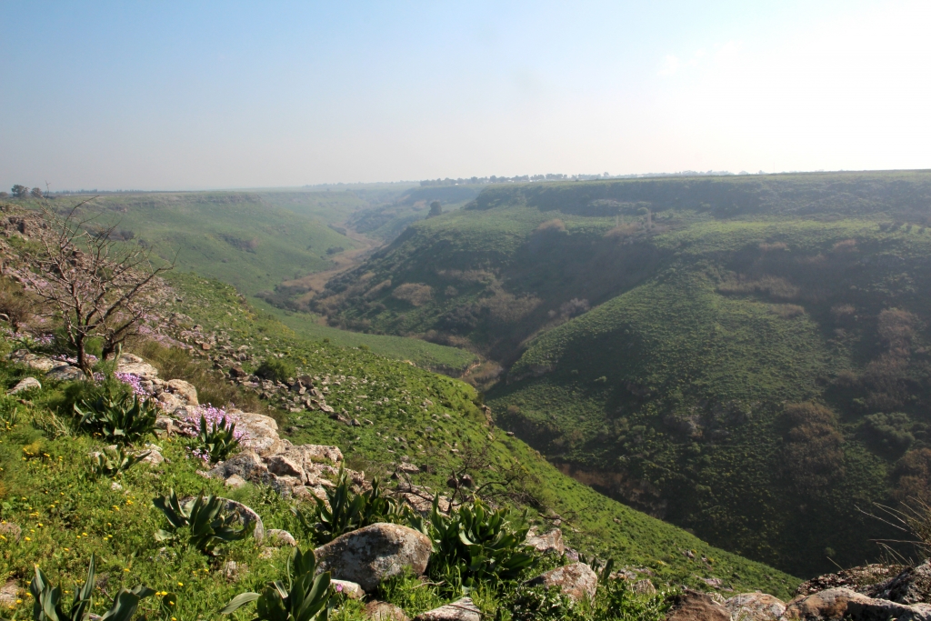מבט אל נחל אל על ממתחם ג'ידיא (קצר ברדוויל). צילום: יעקב שקולניק
