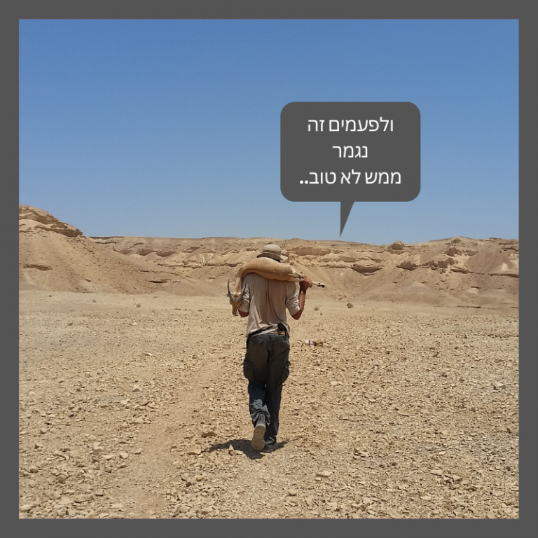 יעלים – כל מה שרציתם לדעת ולא סיפרו לכם - רשות הטבע והגנים