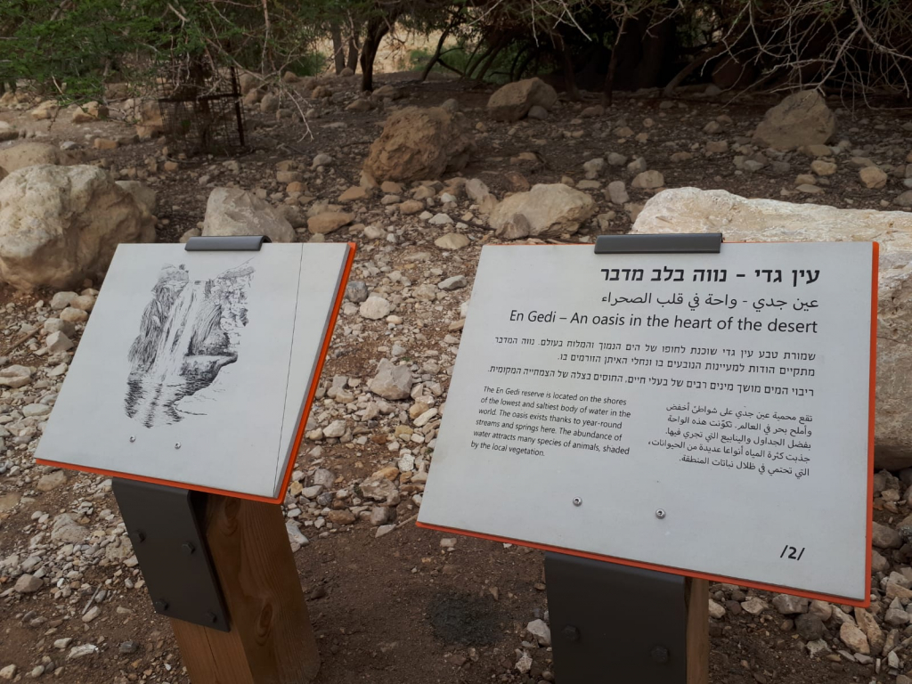 שילוט בעין גדי3