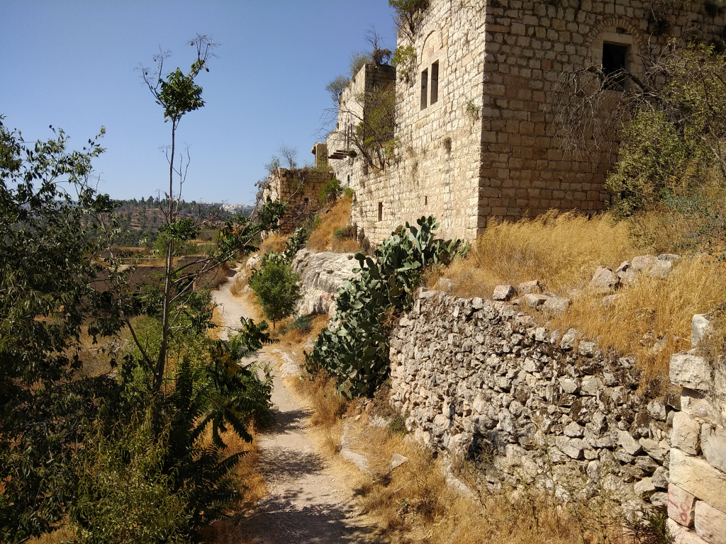 ואדי ליפתא - אייל שפירא
