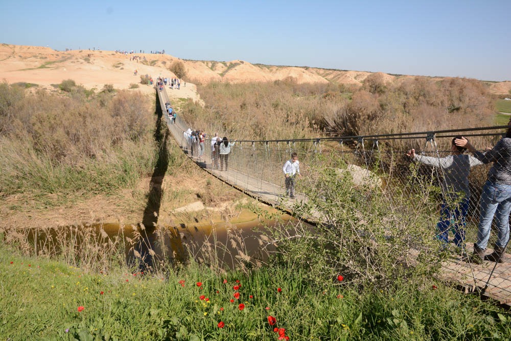 גשר הבשור- מיטל סטרז' צילמה