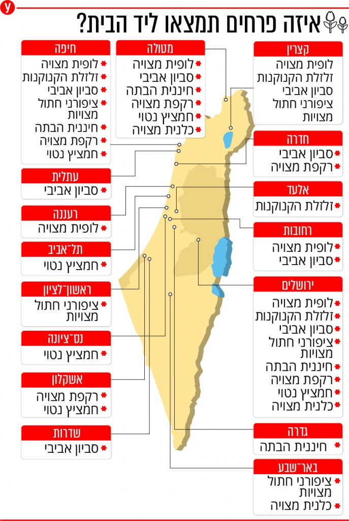 מפת הפרחים של YNET
