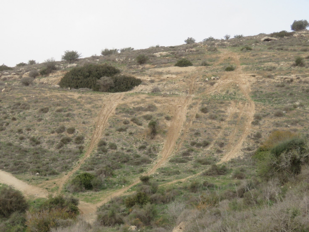 צילם אליסף גוטמן - שטח מחורץ ופגוע בגן לאומי עמק האלה