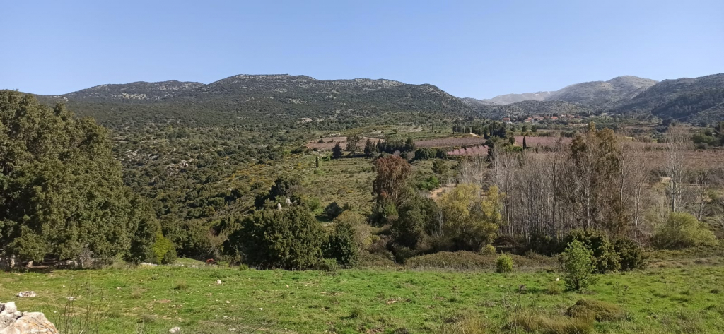 נבי חזורי אביה חן רשות הטבע והגנים