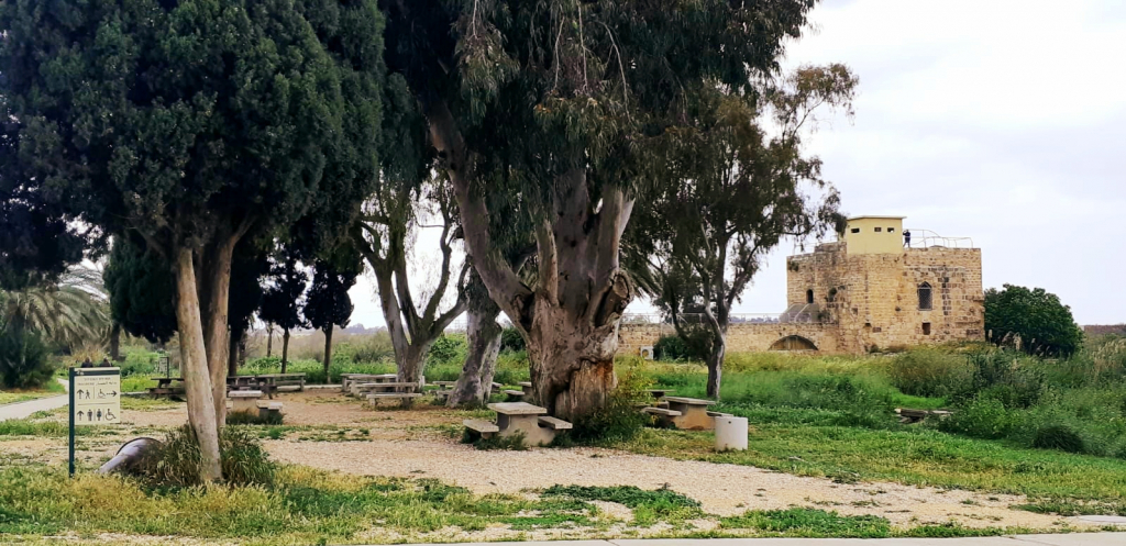 עין אפק הגר סבטי