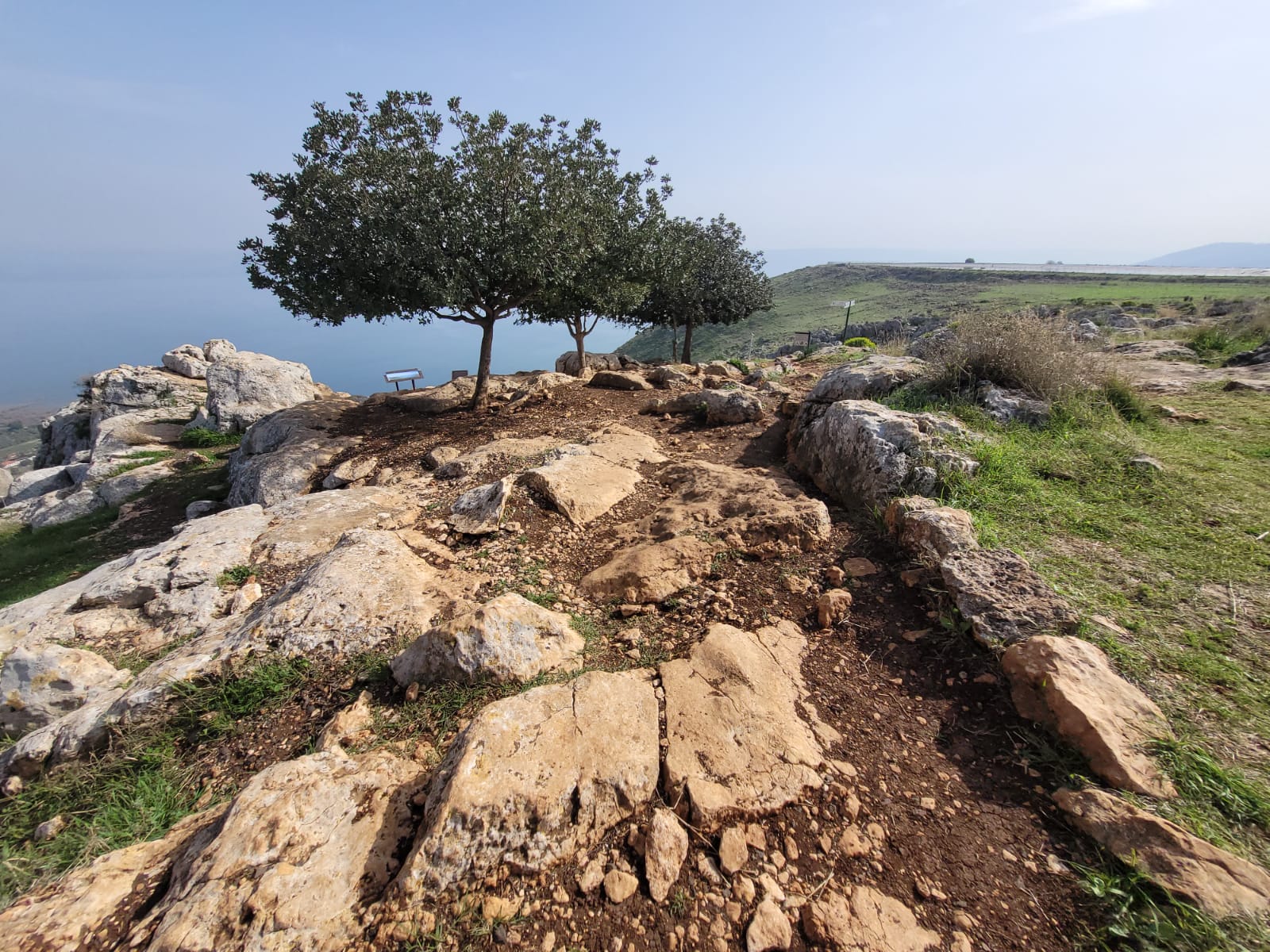 המלצת השבוע - תצפיות ופריחות בארבל - רשות הטבע והגנים