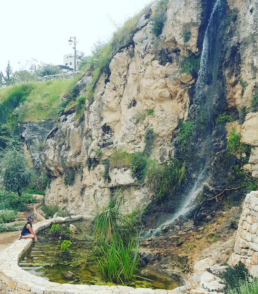 רינת כהן (1)