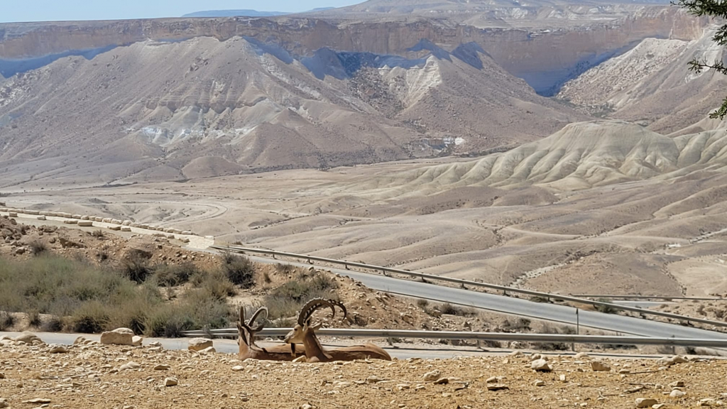 שמורת הטבע מצוק הצינים. צילום: אורן עמית