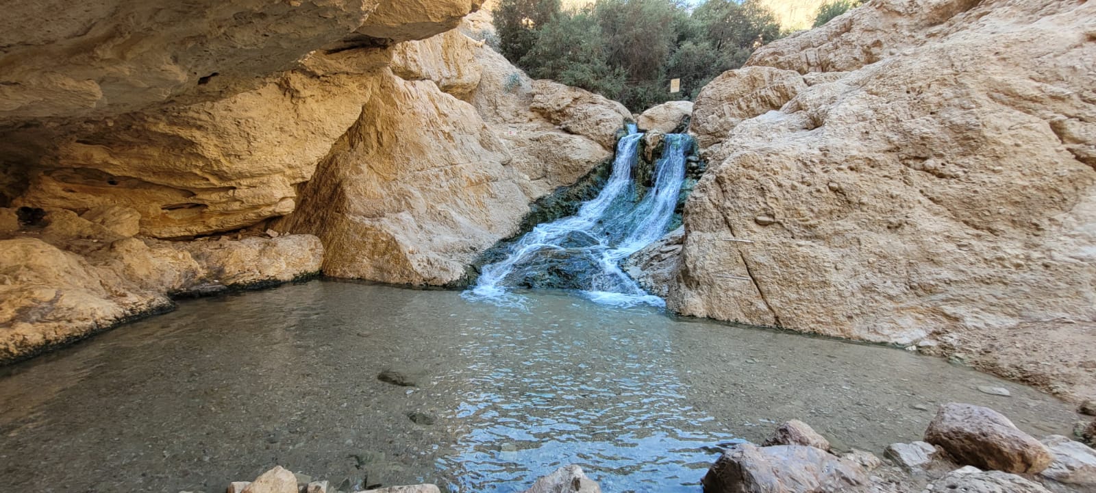 עין בוקק שמורת טבע במדבר יהודה עין בוקק – שמורת טבע מדבר יהודה רשות ...